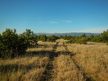 DSCN3166