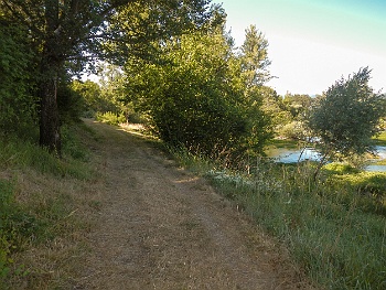 DSCN3186