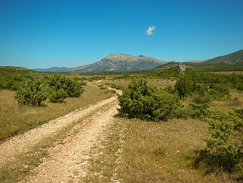 DSCN3214