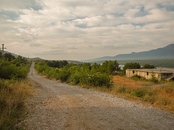 DSCN3297