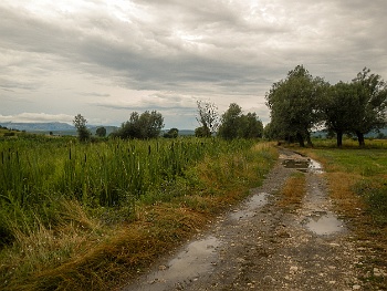 DSCN3408