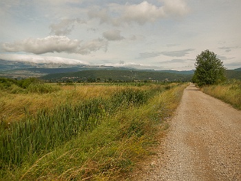 DSCN3416