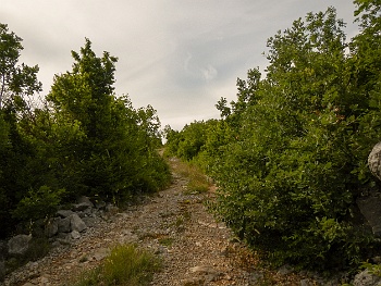 DSCN3481