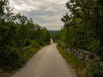 DSCN3517