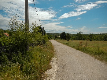 DSCN3526