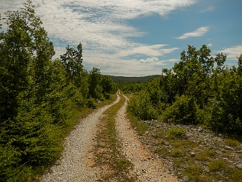 DSCN3530