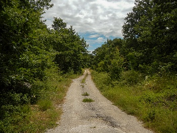 DSCN3538