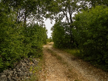 DSCN3560