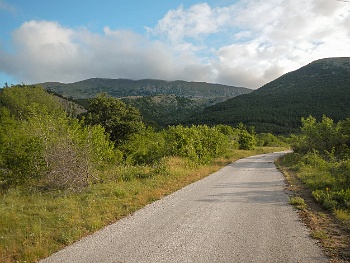DSCN3601