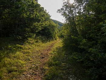 DSCN3603