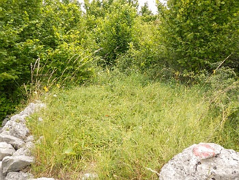 DSCN3653