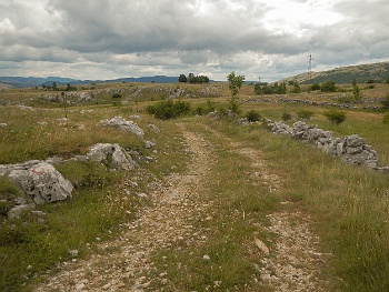 DSCN3656