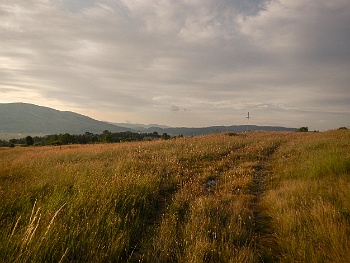 DSCN3666