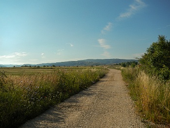DSCN3673