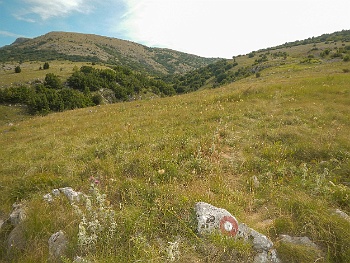 DSCN3683