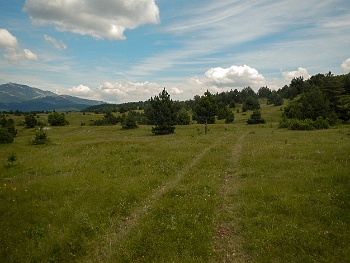 DSCN3702