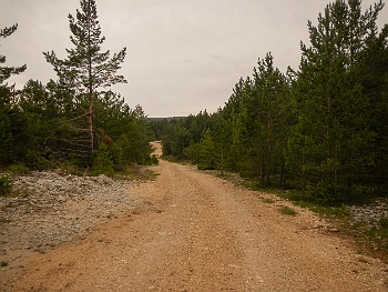 DSCN3726