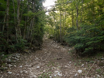 DSCN3740