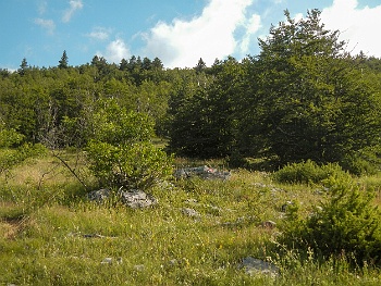 DSCN3741