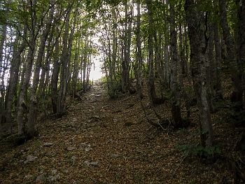 DSCN3743