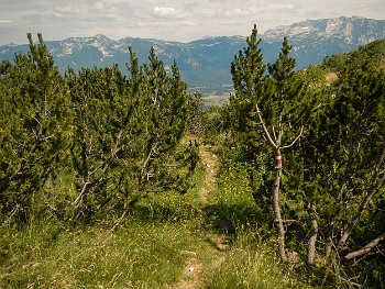 DSCN3773