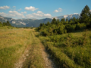 DSCN3784