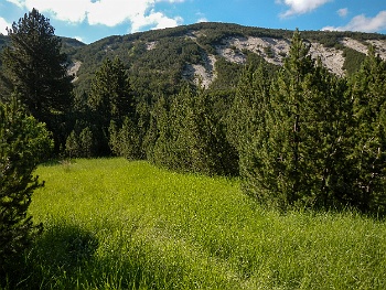 DSCN3819