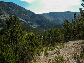 DSCN3821