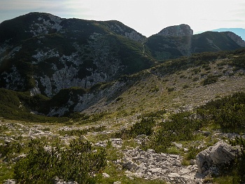 DSCN3866