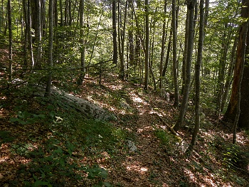 DSCN3877