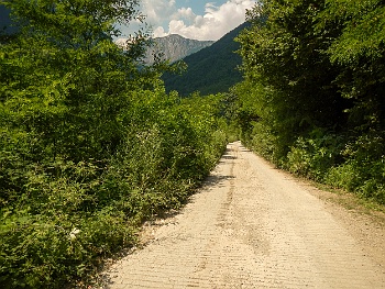 DSCN3893