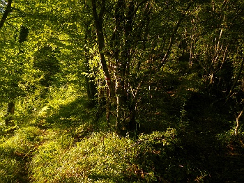 DSCN3990