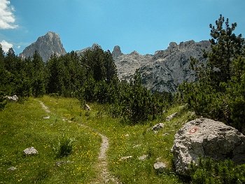 DSCN4086