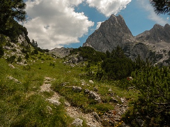 DSCN4089