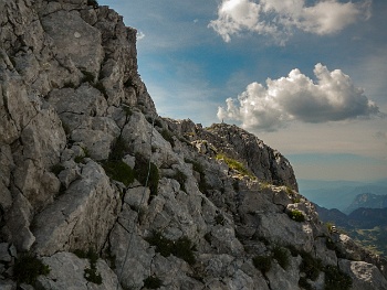 DSCN4094