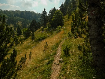 DSCN4135