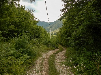 DSCN4151