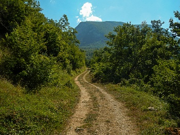 DSCN4184