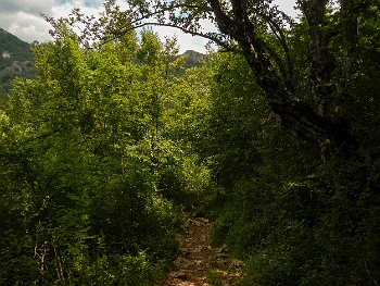 DSCN4196