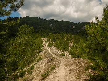 DSCN4202