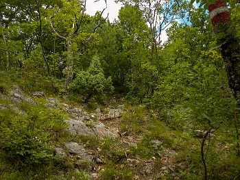 DSCN4203