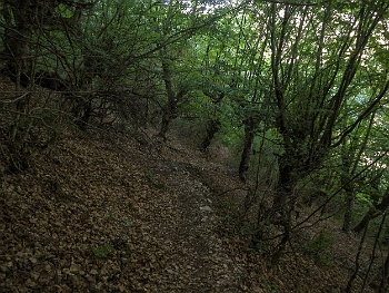 DSCN4229