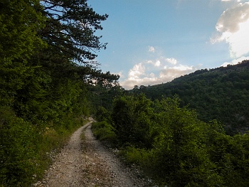 DSCN4246