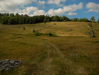 DSCN4256