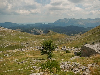 DSCN4438