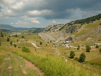 DSCN4443