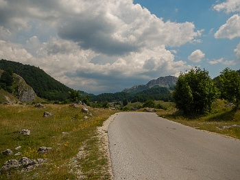DSCN4444