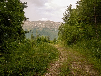 DSCN4459