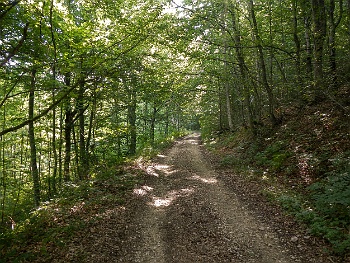 DSCN4477
