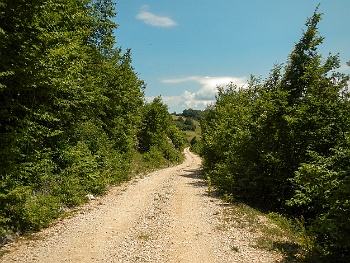 DSCN4497